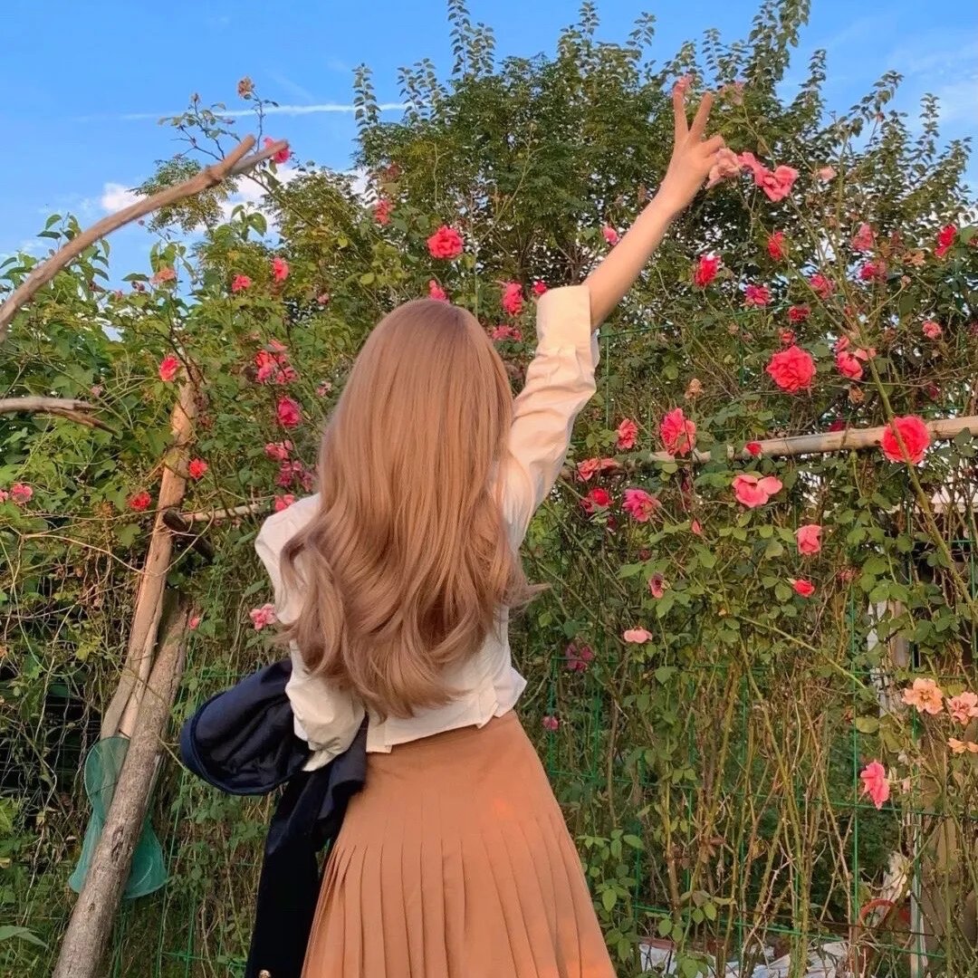 探长薇拉第十二季